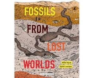 Fossils from Lost Worlds by Damien Laverdunt Damien Laverdunt (Auteur)