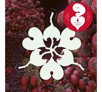 Fossora Remixes Rsd 2023/Maxi 45t/2 Titres