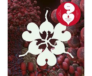 Fossora Remixes Rsd 2023/Maxi 45t/2 Titres