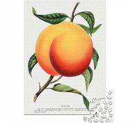 Foster Peach Vintage Botanical Illustration Puzzle, 1000 pièces