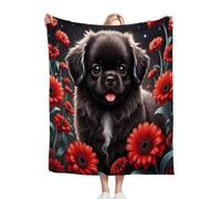 Fotmung Couverture Polaire 220x240 Adulte Animation 3D Panda, Douce Flanelle Couverture lit 2 Personnes en Microfibre, Légère Plaid Canape Grande Taille pour Adultes Enfants-B385