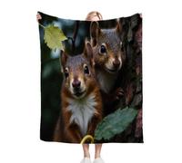 Fotmung Plaid Polaire 200x220 Animaux 3D éCureuil, Couverture Impression 3D Jeté de Canapé, Plaid Canapé Grande Taille, Couverture Polaire Flanelle Moelleuse pour Cadeau Femme-B345