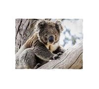 fotobar!Style Couverture Polaire d'environ 180 x 135 cm Koala dans Un Arbre d'eucalyptus