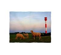 fotobar!Style Couverture Polaire d'environ 180 x 135 cm - Motif Moutons sur Le Phare