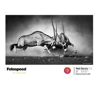 Fotospeed Matt Baryta 310 g/m² - 44 x 15 mètres
