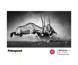Fotospeed Matt Baryta 310 g/m² - 44 x 15 mètres