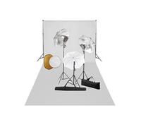 vidaXL Fotostudioset met lampen, paraplu's, achtergrond en reflector3067096 Blanc G