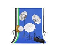 vidaXL Fotostudioset met lampen, paraplu's, achtergrond en reflector3067101 Noir G