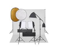 vidaXL Fotostudioset met verlichtingsset, achtergrond en reflector3094690 Noir G