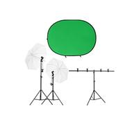 vidaXL Fotostudioset met verlichtingsset en achtergrondscherm3143945 Noir G