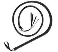 Fouet bondage de 21 centimètres intenses