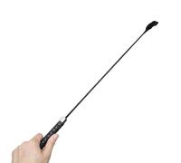 Fouet de dressage interactif pour animaux de compagnie et avec votre ami à fourrure pour contrôler et guider votre animal de compagnie