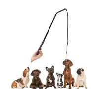 Fouet en cuir de vache artificiel avec poignée pour un dressage efficace des chiens de taille moyenne à grande