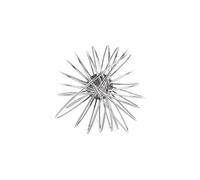 Fouet Léger Inox Professionnel 300 mm Vogue Gris