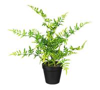 Fougère artificielle japonaise 40 cm - Plante verte en plastique en pot 11x10 cm avec terreau