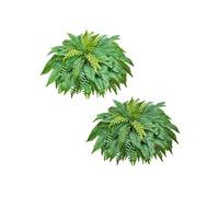 Fougère de Boston Artificielle Lot de 2 PE Vert 114,3 cm