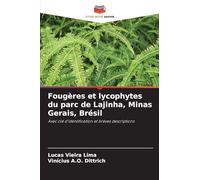 Fougères et lycophytes du parc de Lajinha, Minas Gerais, Brésil