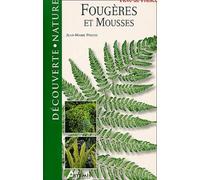 Fougères et mousses