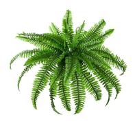 Fougères extérieures et intérieures, grandes fougères de 114,3 cm avec 55 frondes et tête de violon - 2 looks véritables fausse fougère verdure porche, jardin, maison Qmv397 (A, 60 x 60 x 50 cm)