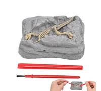 Fouille De Dinosaure,Découvrez des Œufs de Dinosaures en Creusant - Jouet de Squelette Scientifique en Roche Sensorielle avec Activités Éducatives pour Fêtes, Bricolage