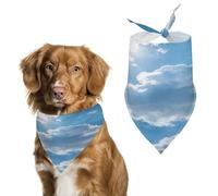Foulard amusant réglable lavable en forme de triangle pour animal domestique Motif briser la lumière du soleil et les nuages