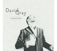 David Gray – Foundling – CD