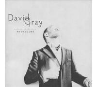 Foundling by Gray, David [Audio CD] NEUF
