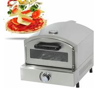 Four à pizza multifonction d'extérieur de 30,5 cm pour l'extérieur, poêle à pizza portable au propane pour barbecue à granulés de charbon de bois dans le jardin, camping, 110 V