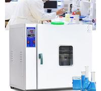 Four de séchage sous vide avec manomètre et contrôleur numérique 500 W pour laboratoire de séchage et chauffage pour température 50-300 °C