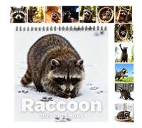 Four-Season Raccoon Decor - 12-Month Spiral Binding Funny Paper Planner