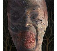 Four Stages Of Decomposition