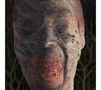 Four Stages of Decomposition by FESTERDAY (2015-05-04)