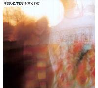 Four Tet Pause (Vinyl)