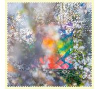 FOUR TET - SIXTEEN OCEANS CD NEUF