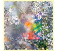 Four Tet Sixteen Oceans (Vinyl) 12" Album