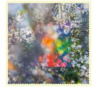 Four Tet - Sixteen Oceans [Vinyl]