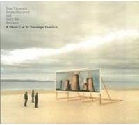 Four Thousand Seven Hundred And Sixty-Six Seconds: A Short Cut To Teenage Fanclub