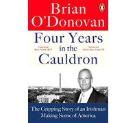 Four Years In The Cauldron: The Gripping Story Of An Irishman Making Sense Of America