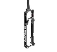 Rockshox Sid Ultimate Race Day 2p Os44 Mtb Fork Argenté 29´´ / 120 mm Black