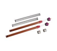 Fourche Bud Racing réglable comp/détente(avec ressorts)