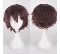Fouriding Perruque Courte Unisexe Perruque Courte Cosplay Prom Hair Fluffy Layered Heat Resistant Cheveux synthétiques pour Femme Homme Garçon Fille Fête Halloween Costume Cosplay (Marron foncé)
