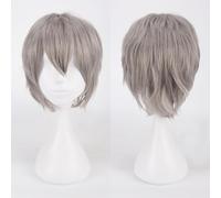 Fouriding Perruque Courte Unisexe Perruque Courte Cosplay Prom Hair Fluffy Layered Heat Resistant Cheveux synthétiques pour Femme Homme Garçon Fille Fête Halloween Costume Cosplay (Gris)