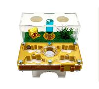 Fourmilière Acri 3D champignon - Fourmis incluses - Couleur or