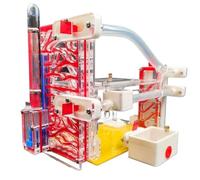 Fourmilière Château De Fourmis avec Zone d'alimentation Conçue pour Que Vous Puissiez Clairement Observer Et Nourrir La Ferme Nids La Cité des Fourmis(A)