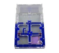 Fourmilière en Acrylique, Fourmilière en Acrylique Multicolore de 17 cm, boîte présentation(Blue)