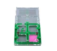 Fourmilière en Acrylique, Fourmilière en Acrylique Multicolore de 17 cm, boîte présentation(Grün)