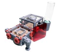 Fourmilière Nid De Fourmis : Un Écosystème Extensible for Les Passionnés Conservation La Cité des Fourmis