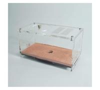 Fourmilière Nid Fourmis Château De Fourmis, Boîte Écologique, Ferme De Fourmis, Éducation Scientifique, Ensemble D'apprentissage, Nid De Fourmis, Écosystème De Recherche Agricole Fourmis Elevage(Activ