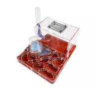 Fourmilière Nid Fourmis Fourmi Ferme Acrylique Fourmi Château Élevage Hydratant Nid Science Observation Bricolage Fourmi Nid Ferme Fourmi Science Kit Fourmis Elevage(Rot)