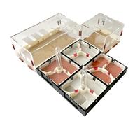 Fourmis acrylique à Expansion illimitée, nid avec zone d'alimentation en gypse, maison fourmis, atelier fourmilière, tour d'eau hydratante Plaster wet